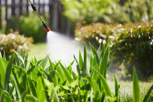24/7 Emergency Wasp Removal experts in Goodrich, MI