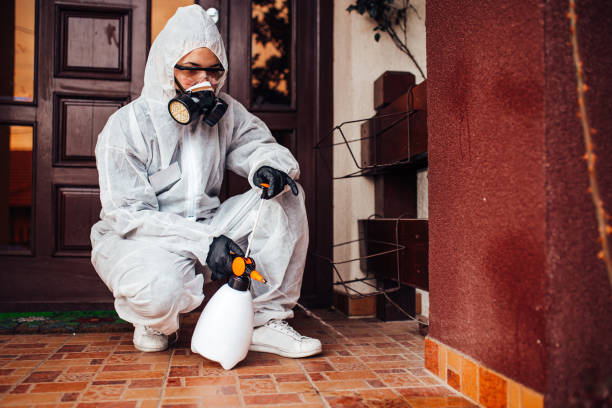 Reliable Wasp Removal contractor in Goodrich, MI by Show Me Pest Control