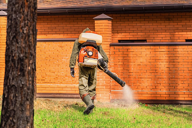 Top rated local Wasp Removal specialists in Goodrich, MI